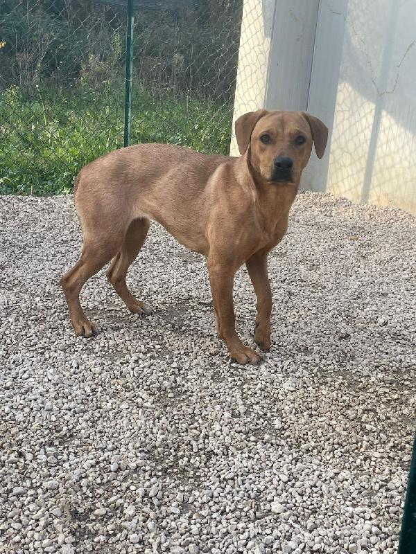 LA BELLISSIMA AMERICA Foto 3